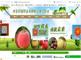 河东区绿野苗木种植专业